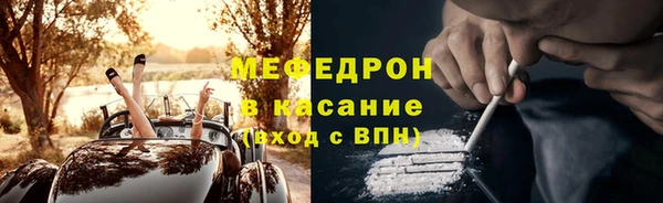 индика Дмитриев