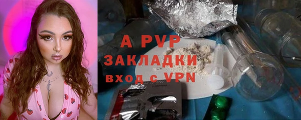 индика Дмитриев