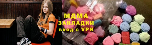 индика Дмитриев