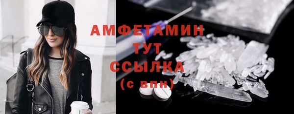 индика Дмитриев