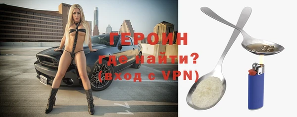 индика Дмитриев