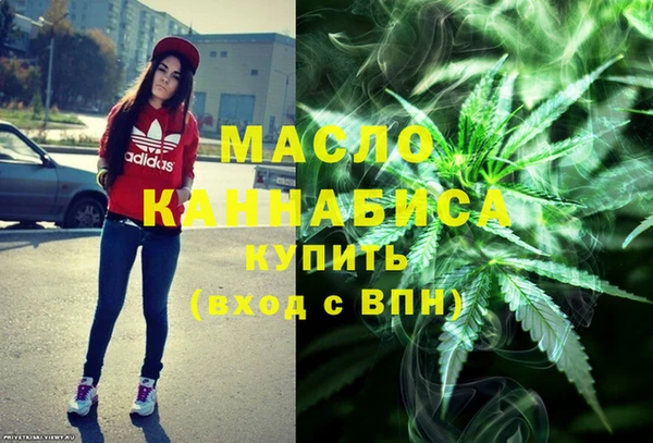 индика Дмитриев
