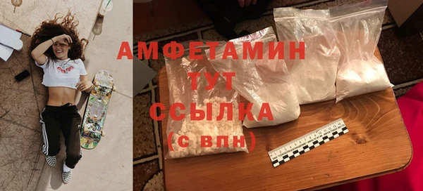 индика Дмитриев