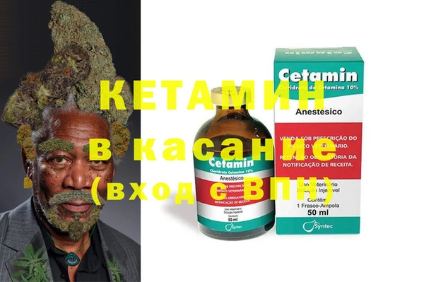 индика Дмитриев