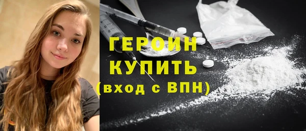 индика Дмитриев
