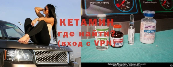 индика Дмитриев