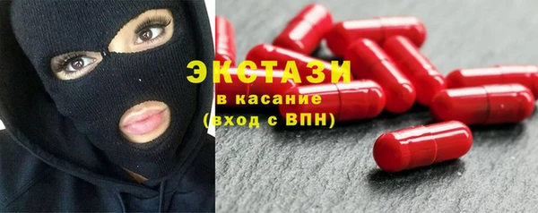 индика Дмитриев