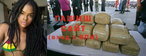 индика Дмитриев