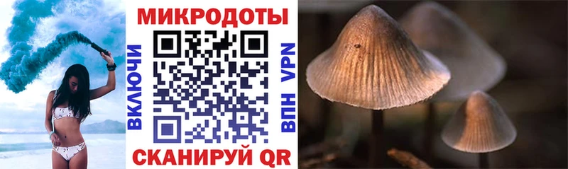 купить наркоту  Наро-Фоминск  Псилоцибиновые грибы Magic Shrooms 